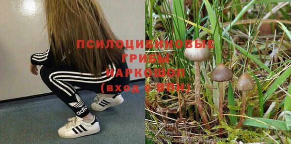 spice Алексеевка