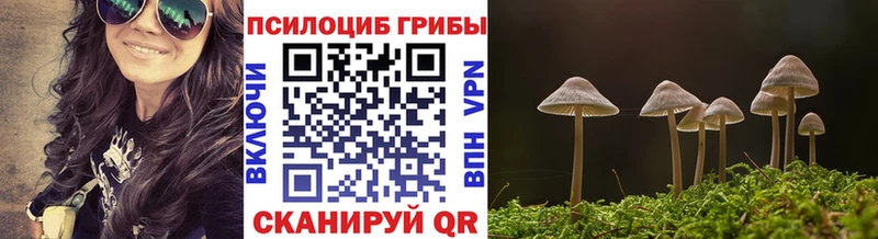 Галлюциногенные грибы MAGIC MUSHROOMS  Крым 